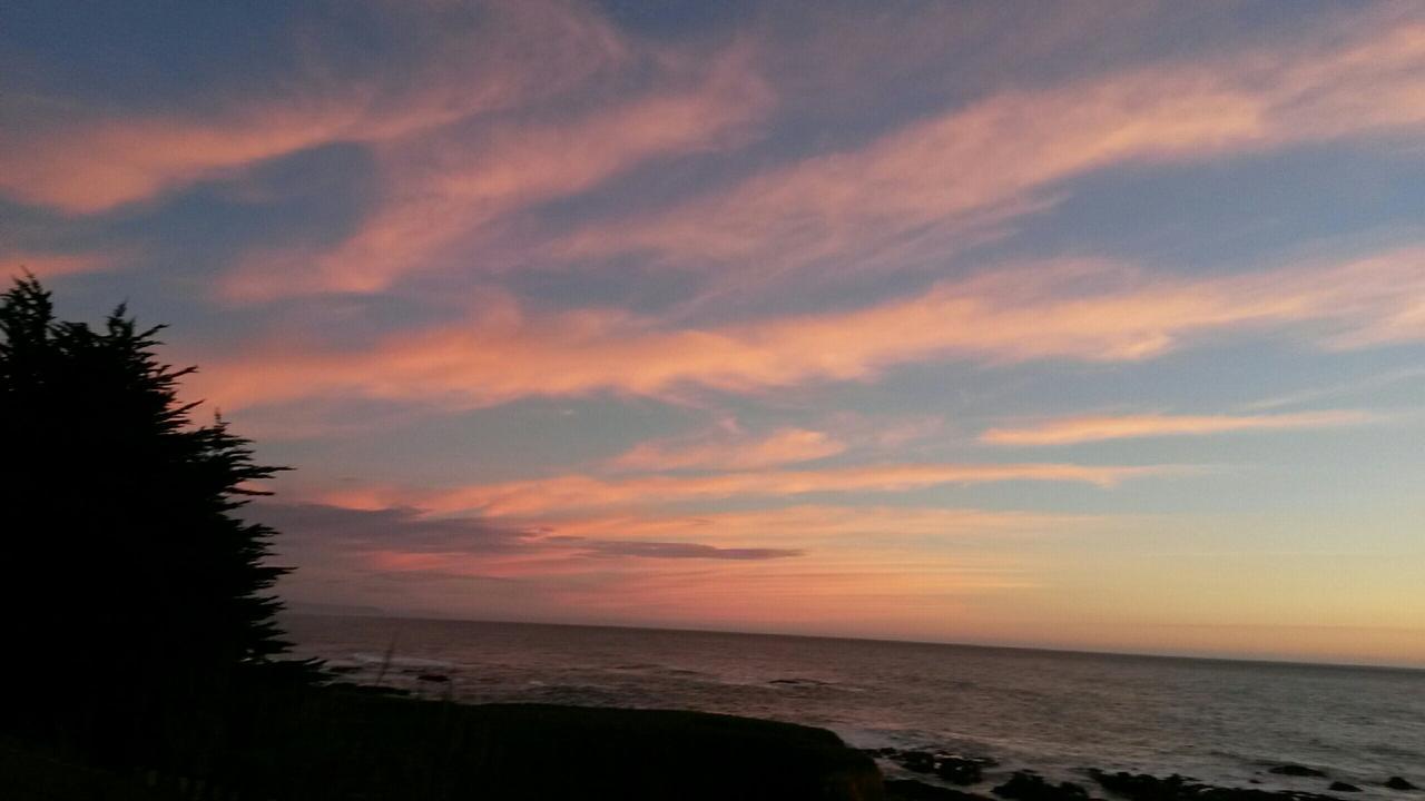 Shelter Cove The Oceanfront Inn מראה חיצוני תמונה